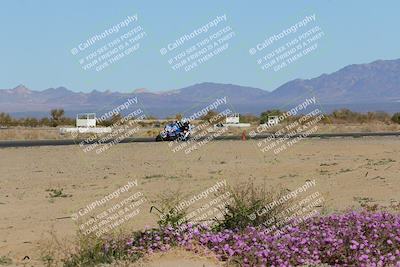 media/Jan-22-2023-CVMA (Sun) [[66d43cdebf]]/Race 11 Stock 1000 Shootout/